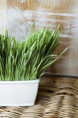 wheatgrass natural concept