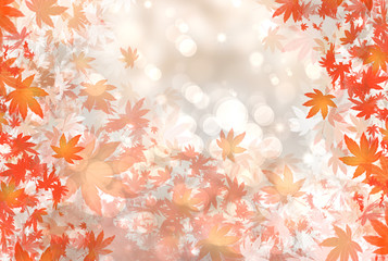 Fototapeta na wymiar Spadające liście jesienią