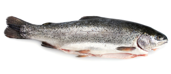 Fresh fish isolated on white