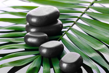 Fototapeta na wymiar Spa stones on green palm leaf on grey background