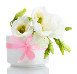 beautiful spring flowers in vase isolated on white