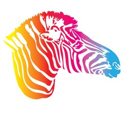 vector - zebra color texture - obrazy, fototapety, plakaty