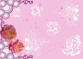 pink background with rose flowers