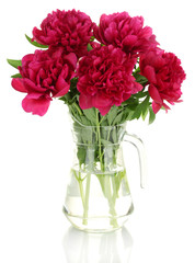 beautiful pink peonies in glass jar with bow isolated on white