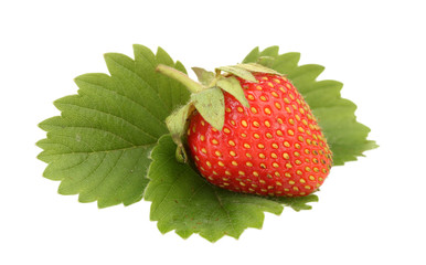 sweet ripe strawberries with leaves isolated on white