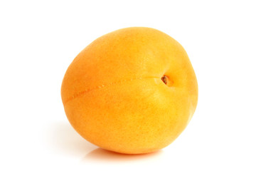 Apricot