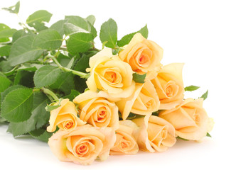 Fototapeta na wymiar beautiful bouquet of roses isolated on white