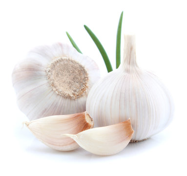Garlic with green leaves