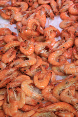 Prawns on a fish market