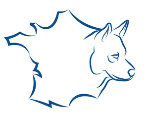 chiens français, chiens de France, éleveur