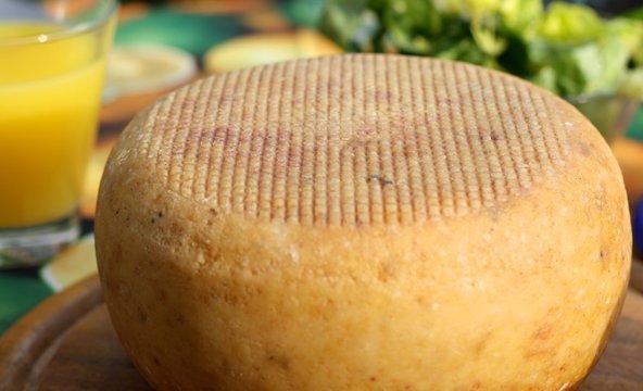 cheese wheel