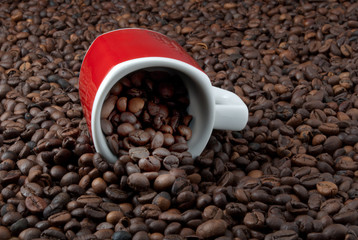 Chicchi di caffè con tazzina