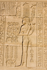 Ancient Egyptian Priestess for Hapi God
