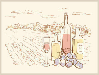 Hand drawn vineyard with bottles of wine