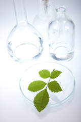 Ecology laboratory, experiment 