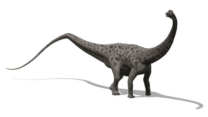 Diplodocus Dinosaur 2 © AlienCat