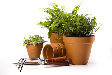 Garden tools on white background 