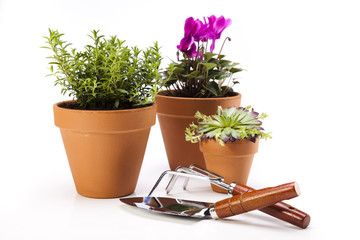 Garden tools on white background 