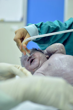 New Born Infant