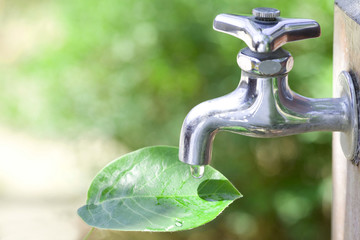 水道の水を救う葉
