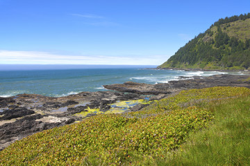 Cape Perpetua, Oregon coast.