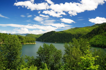 A view on the way to Mt Saint Helens