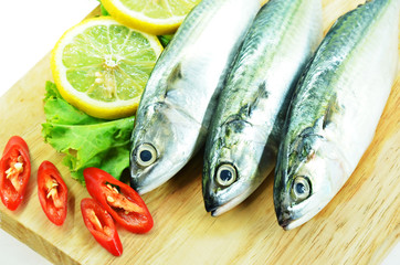 Fresh raw mackerel