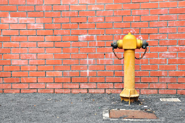 Fire Hydrant