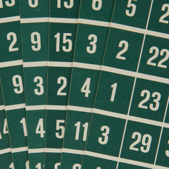 Green bingo cards