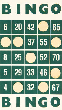 Green Bingo Card Isolated