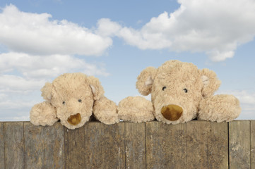 two teddy bears looking from above a fence