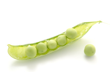 さやを開いたエンドウ豆