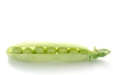 1本のエンドウ豆のさや