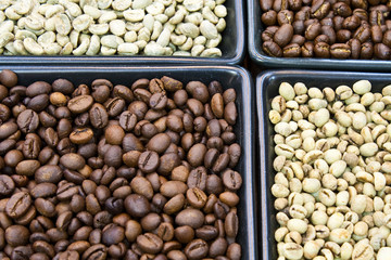 roasted and green coffee bean