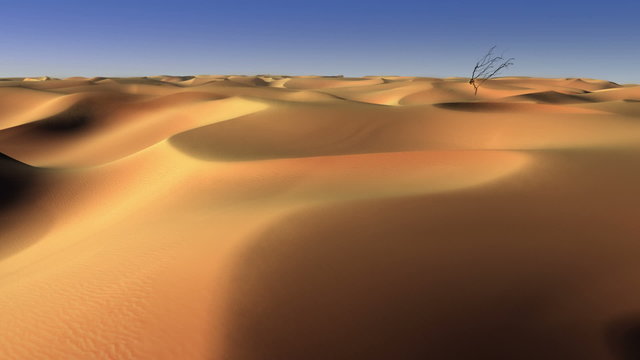 Moving dunes