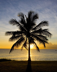 Fototapeta na wymiar zachód słońca nad Morze Karaibskie, Barbados