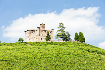 Fototapeta na wymiar Grinzane Cavour Castle with vineyard, Piedmont, Italy