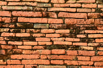 Obraz premium ancient brick wall