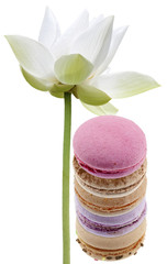 macarons et fleur de lotus