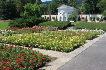Rosarium 9