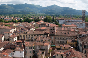 Lucca, Blick vom Turm des Palazzo Guinigi 2