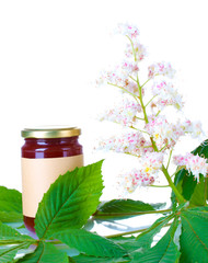 Jar of honey and chestnut branches on white background close-up
