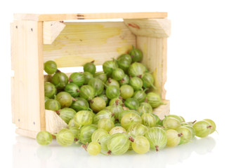 Green gooseberry in crate isolated on white