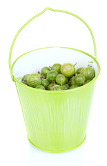 Green gooseberry in metal bucket isolated on white