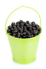 Black currant in metal bucket isolated on white