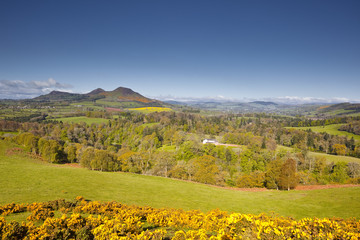 Fototapeta premium Scott's View in the Scottish Borders