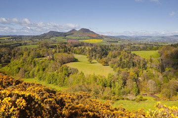 Scott's View in the Scottish Borders