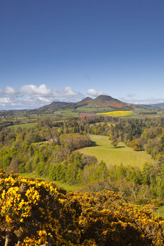 Scott's View in the Scottish Borders