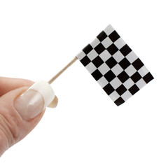 drapeau a damiers miniature