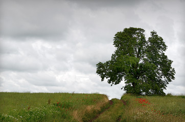 Fototapeta na wymiar countryside landscape